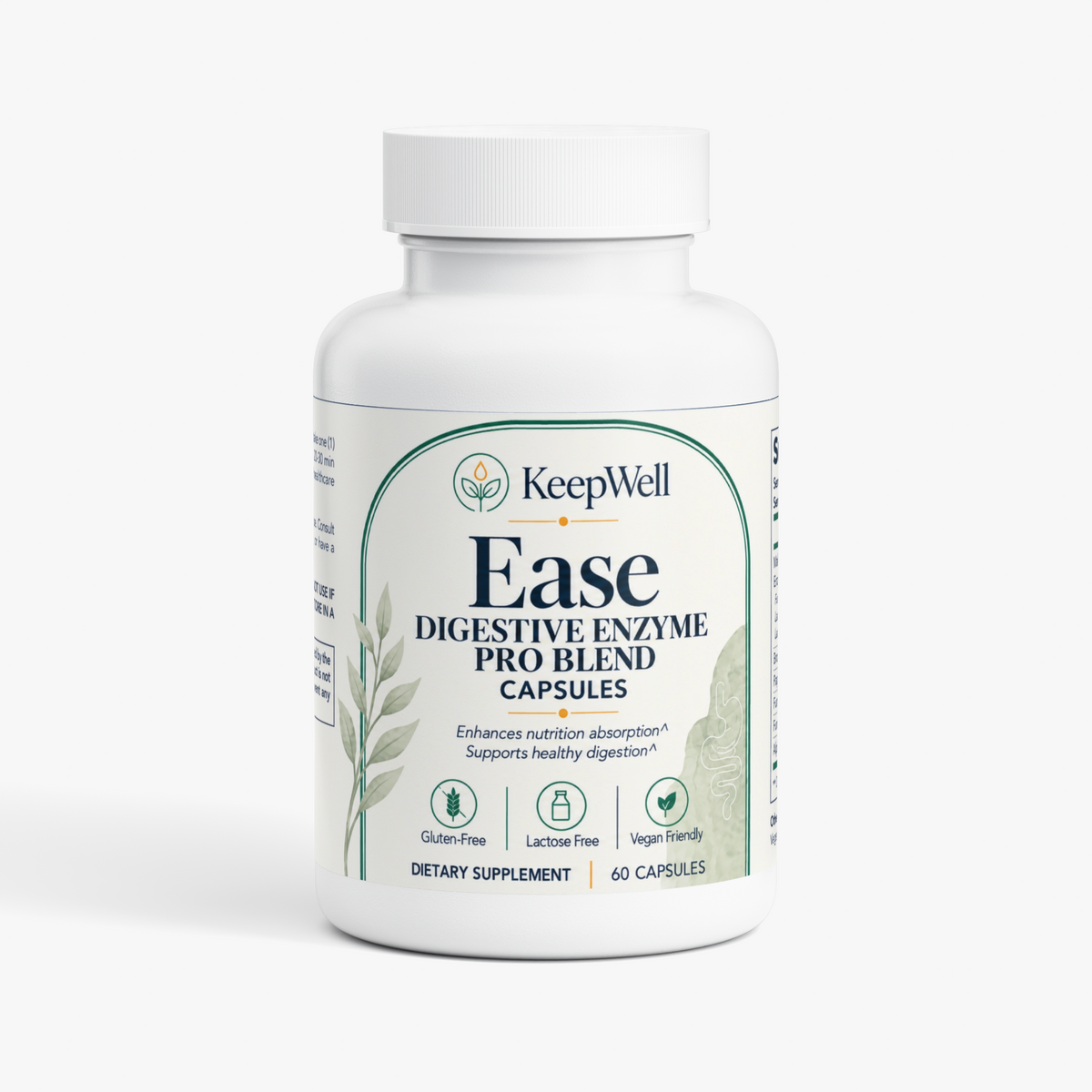 Ease — Digestive Enzyme Support for GLP-1 Users